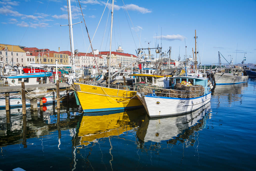 Boats at Victoria Dock CYRUS2000 SHUTTERSTOCK HobartTop Sights MONA - photo 5