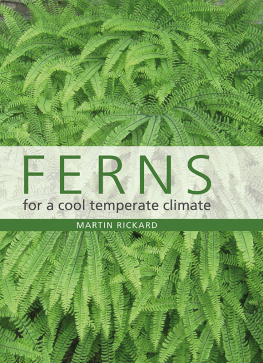 Martin Rickard - Ferns for a Cool Temperate Climate