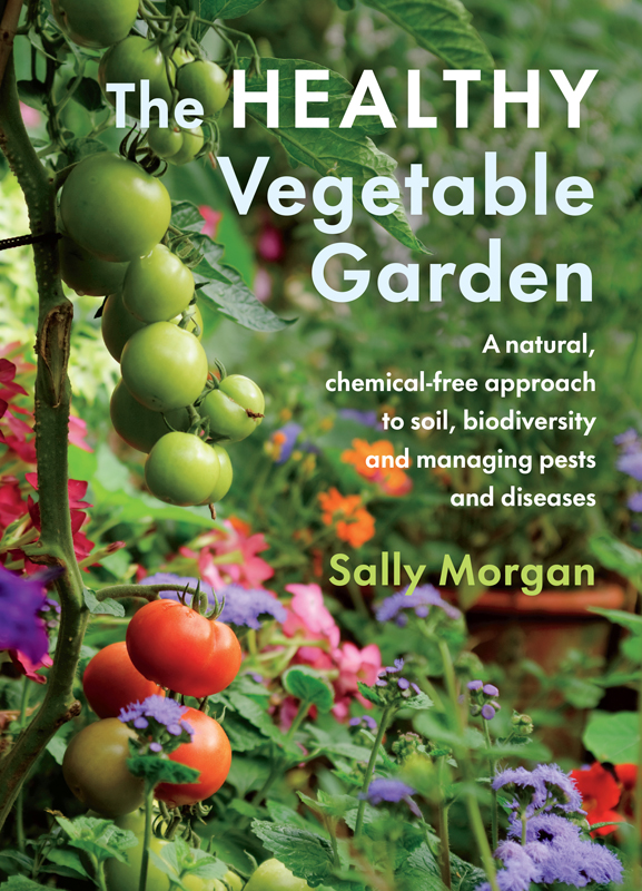 PRAISE FOR THE HEALTHY VEGETABLE GARDEN A must read for anyone who wants to - photo 1