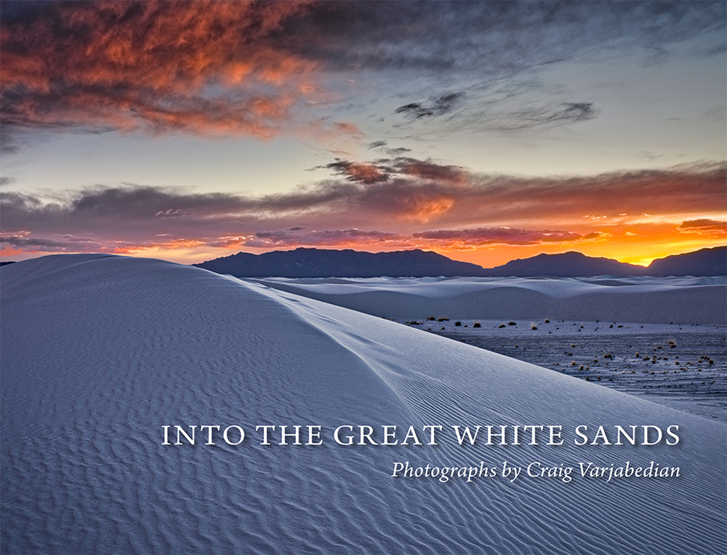 INTO THE GREAT WHITE SANDS Salt Cedar Pedestals and Clouds Pedestal dunes - photo 1