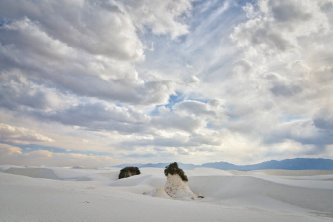 Salt Cedar Pedestals and Clouds Pedestal dunes are erosional landforms that - photo 2