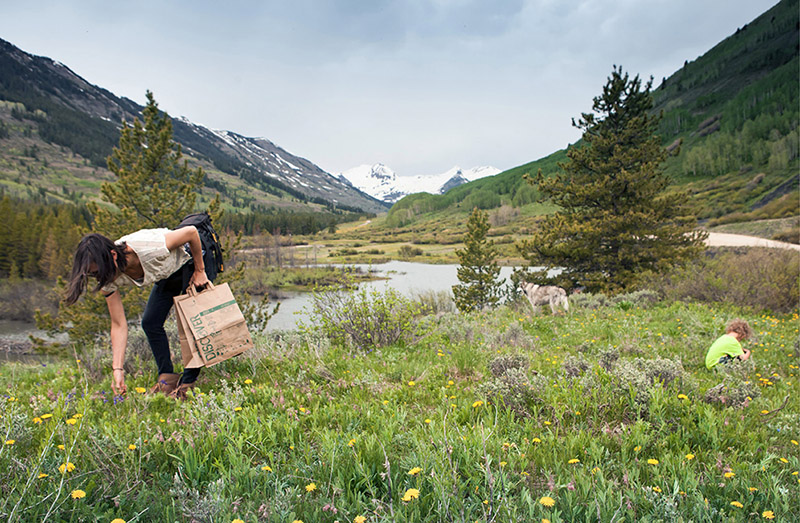 Gathering dandelion heads high in the mountains with my usual posse Salix my - photo 6