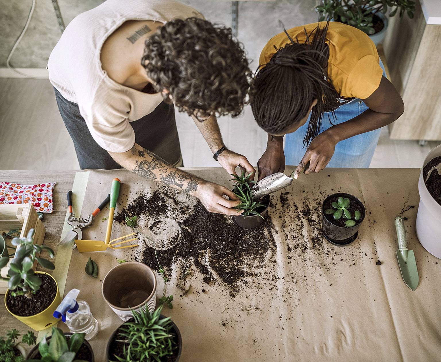 Propagating and repotting houseplants to share with friends and family is a - photo 9