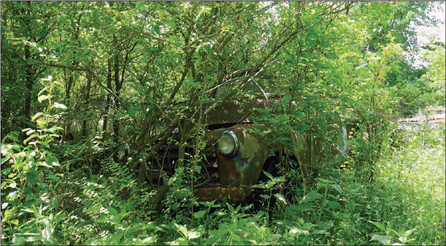 This early 1950s truck is all but reclaimed by nature but it is a beautiful - photo 5