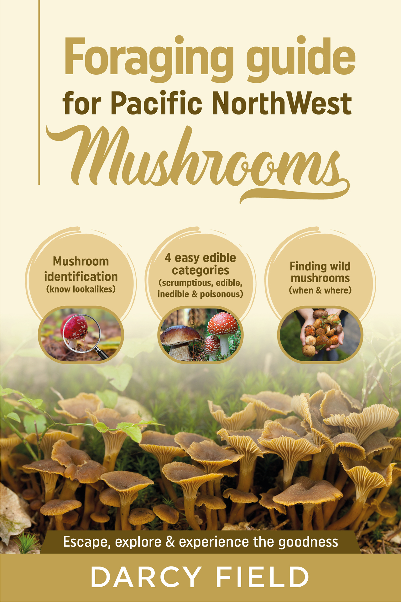 Foraging Guide for Pacific Northwest Mushrooms Mushroom Identification know - photo 1