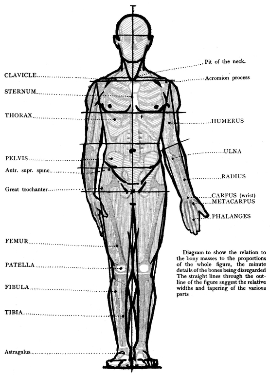 CONSTRUCTION LINES OF THE STANDING FIGURE FRONT VIEW In the above - photo 28