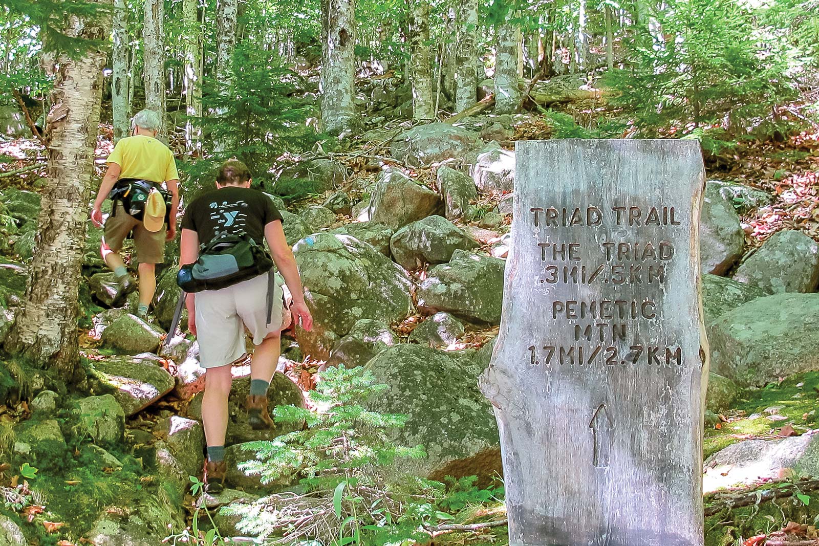 Take a Whether youre a first-time hiker or a pro theres a trail for you - photo 20
