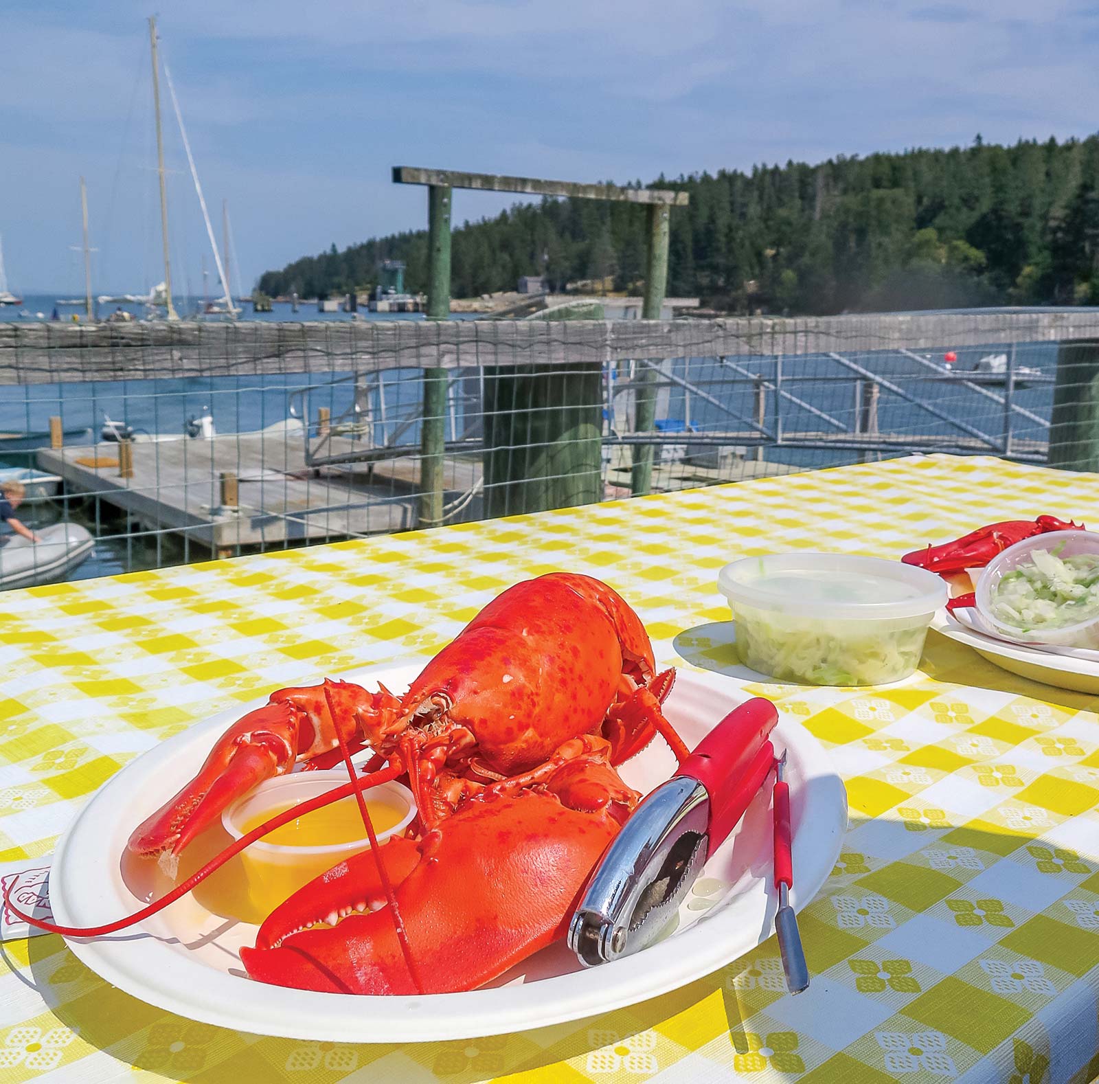 Feast on Enjoy Maines signature crustacean the way locals dofresh from the - photo 23