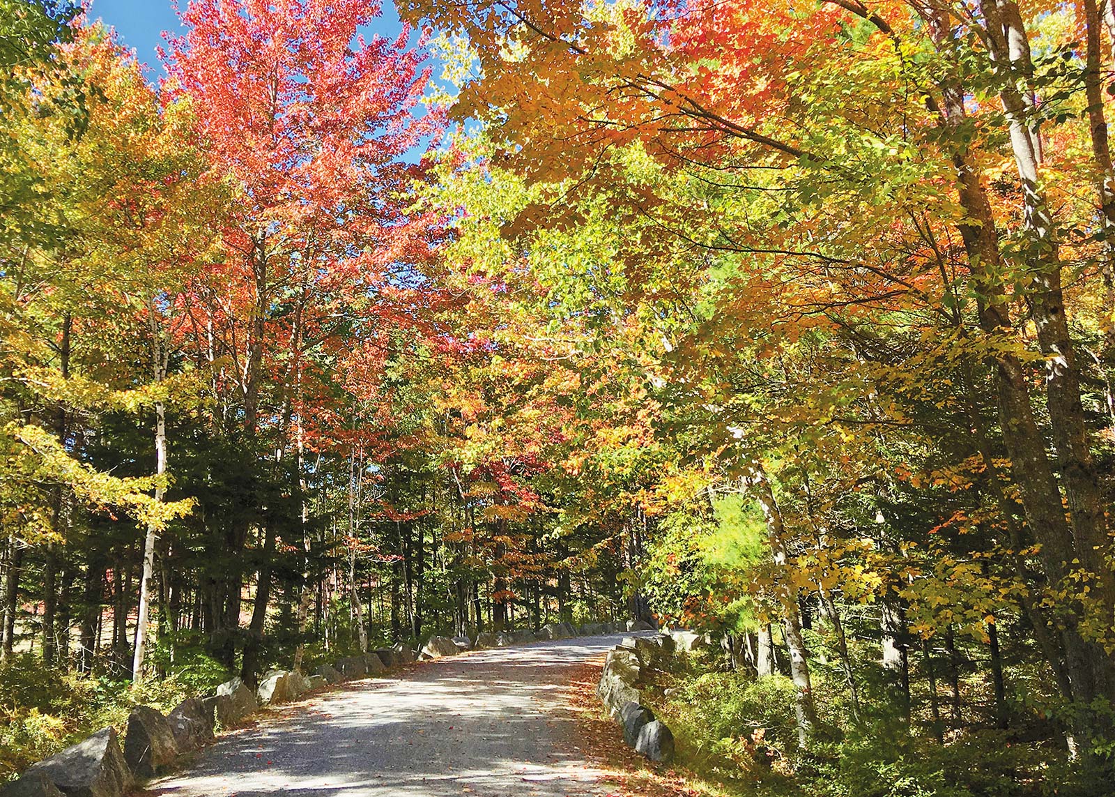 Admire Stunning Stop by Acadia in the fall for some of the most beautiful - photo 24