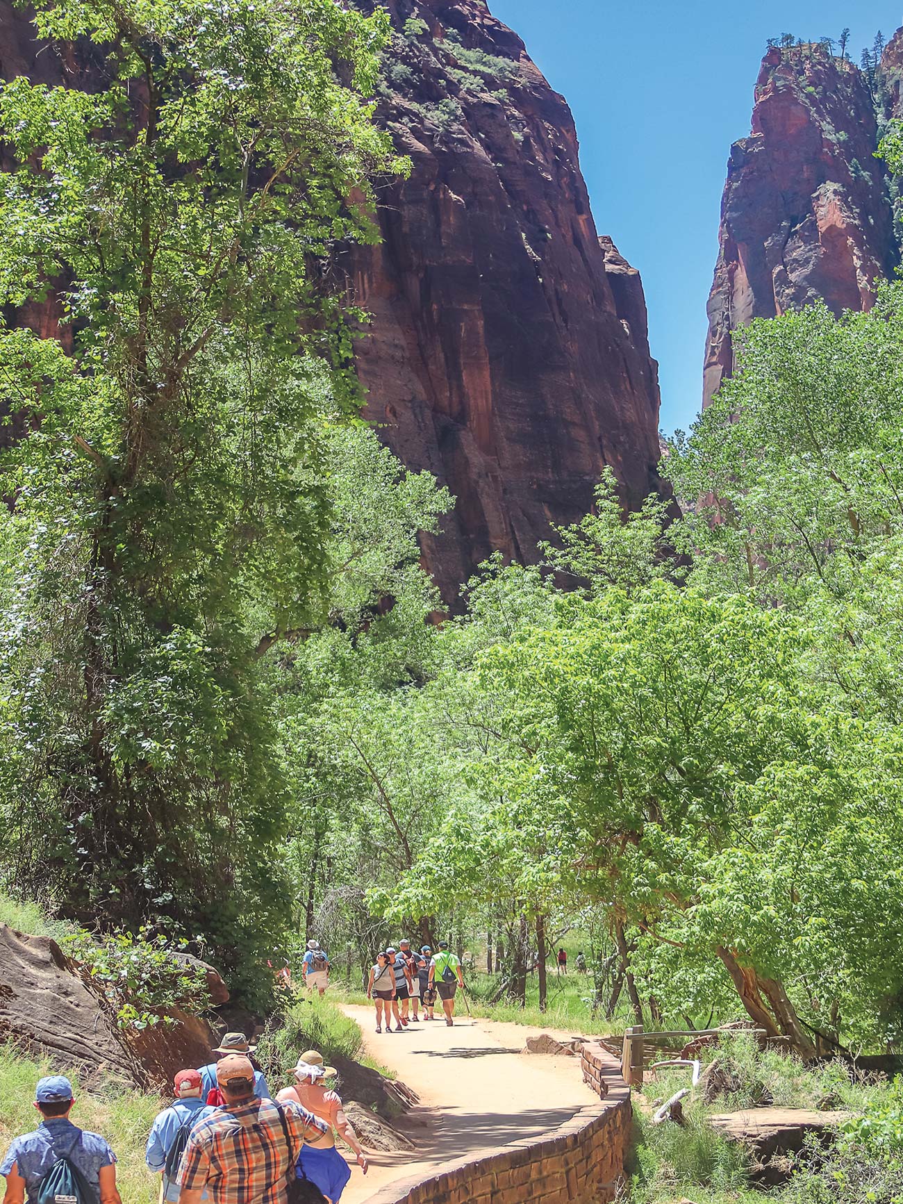 Riverside Walk along the verdant Virgin River Hovenweep National Monument - photo 14