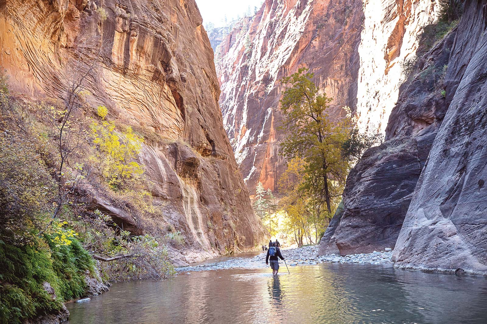 Follow the all-abilities Riverside Walk up the verdant Virgin River canyon in - photo 19