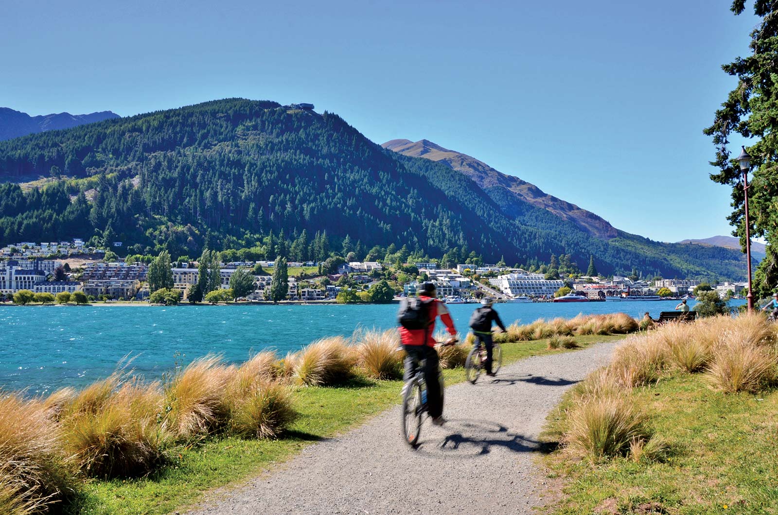 cycling in Queenstown Gardens Sophisticated cities such as Auckland and - photo 11