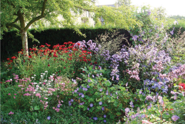 One of four beds in the Yew Garden this is mainly herbacaeous and is full of - photo 3