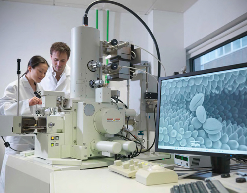 Scientists in a biolab use a scanning electron microscope to examine pollen - photo 4