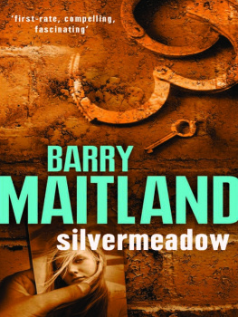 Barry Maitland - Silvermeadow