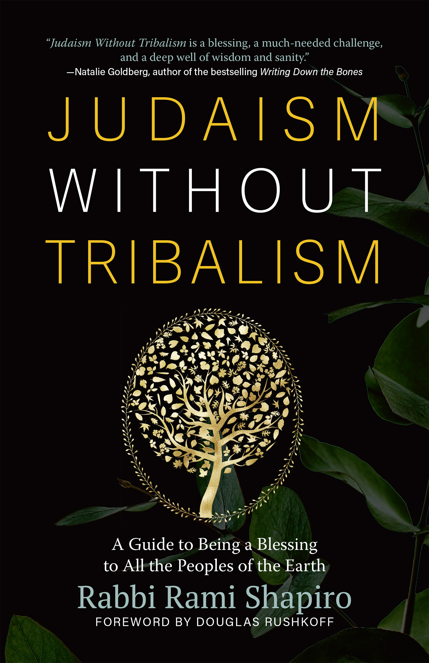 Advance Praise for Judaism Without Tribalism Shapiros powerful manifesto is a - photo 1