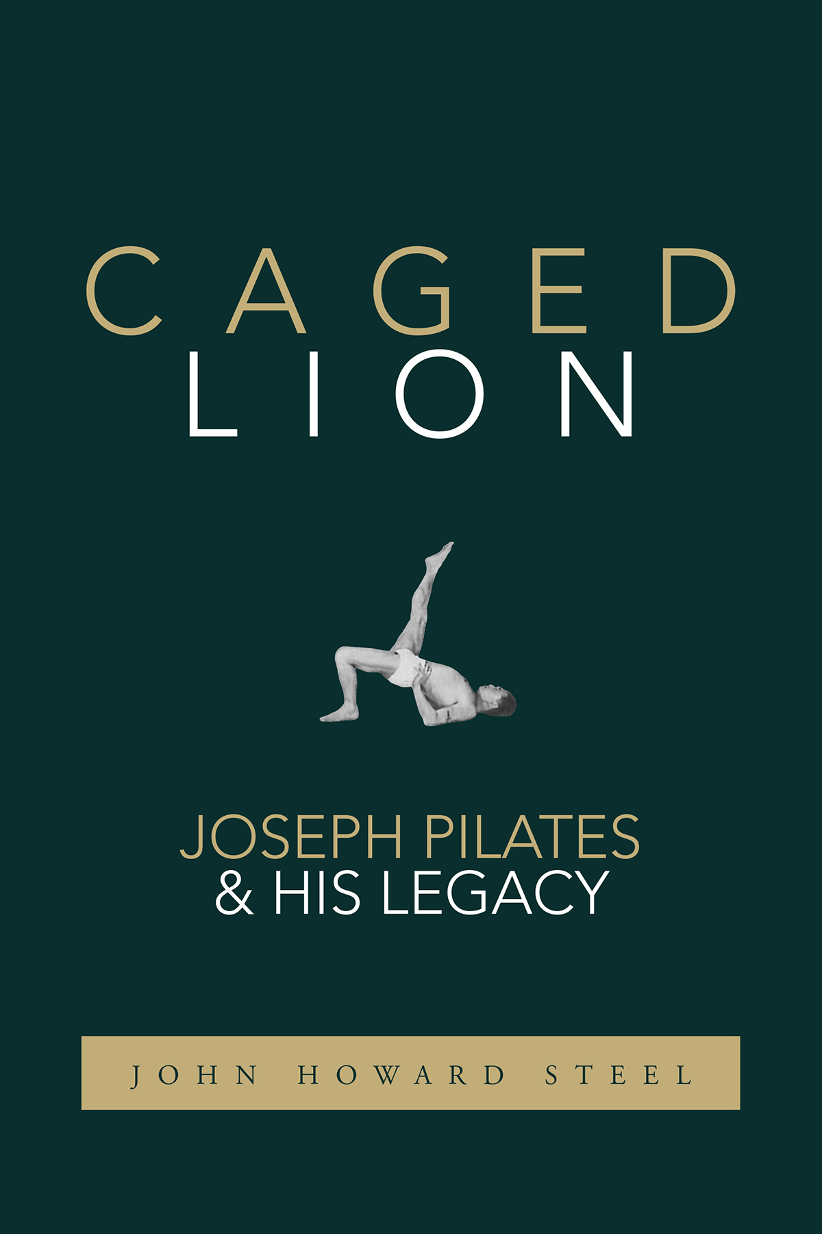 Praise for Caged Lion John Steels vivid firsthand account of his unlikely - photo 1