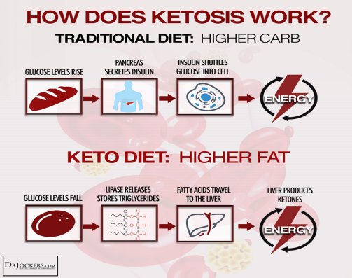 Photo drjockerscom Ketosis Your bodys second favorite source of energy is - photo 1