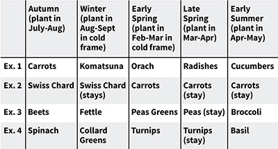 Greens-to-Roots Harvesting Unlike true succession cropping with this method - photo 4