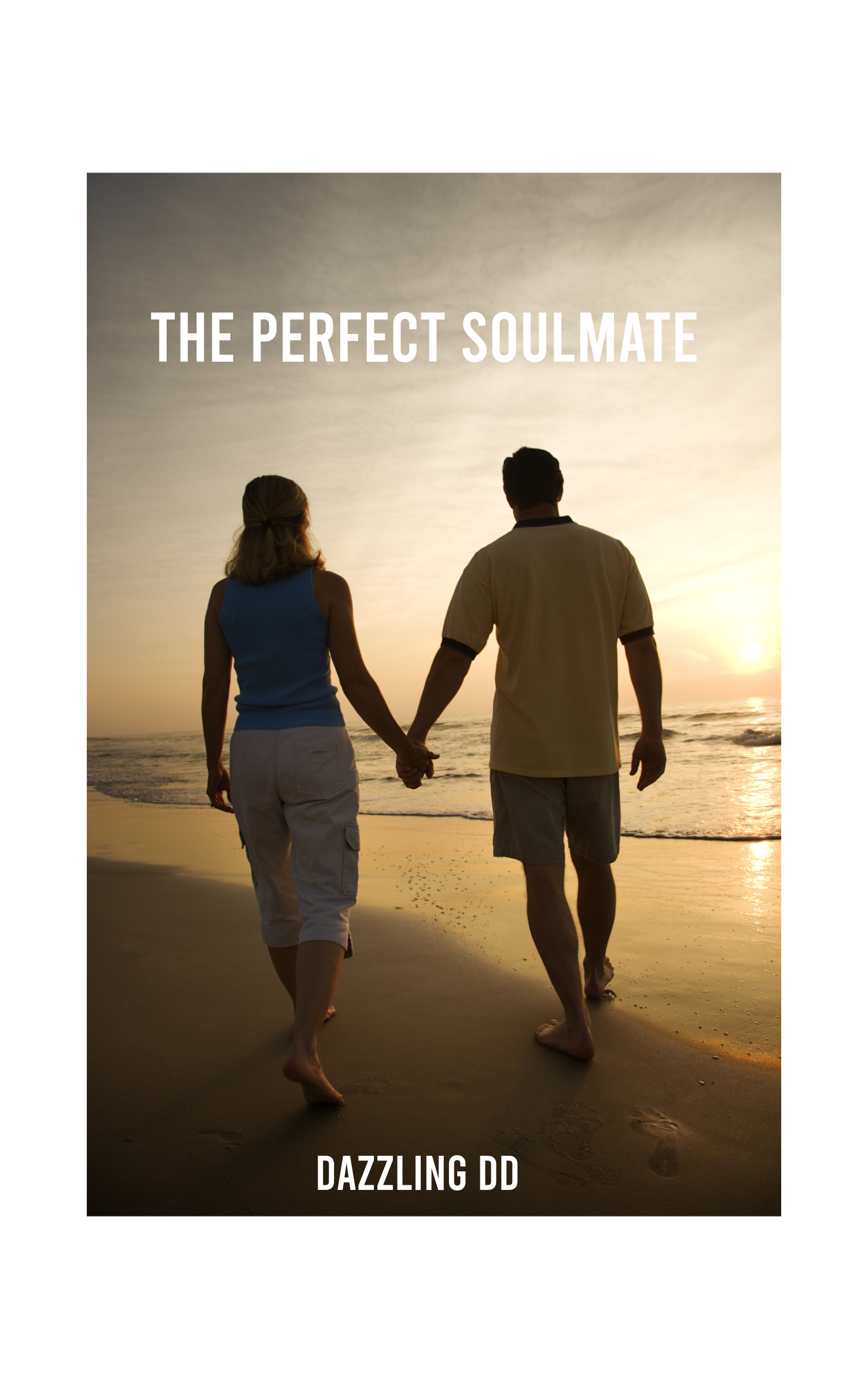 The Perfect Soulmate BY Dazzling DD ISBN 123456789012345 Dazzling DD - photo 1