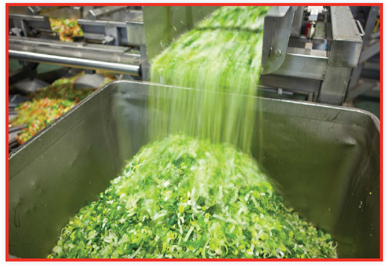 JOB SHOP The workers at the processing plant sort wash and put the food - photo 13