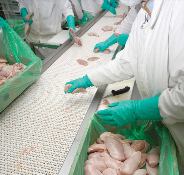 JOB SHOP The workers at the processing plant sort wash and put the food - photo 14