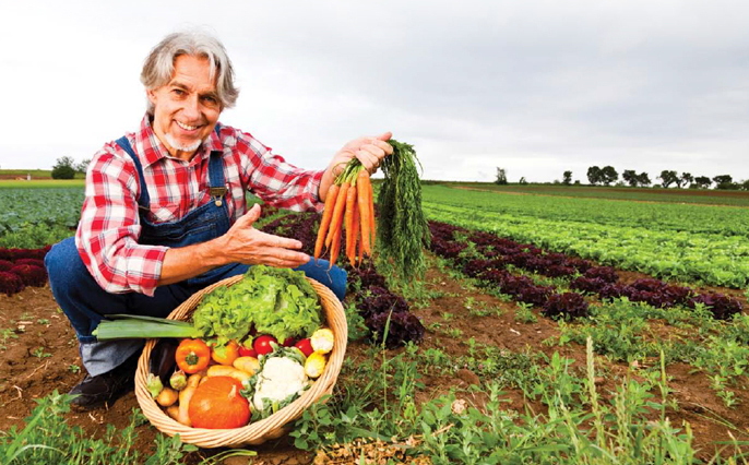 Foods We Get From Farms JOB SHOP Farmers have to do many things - photo 7