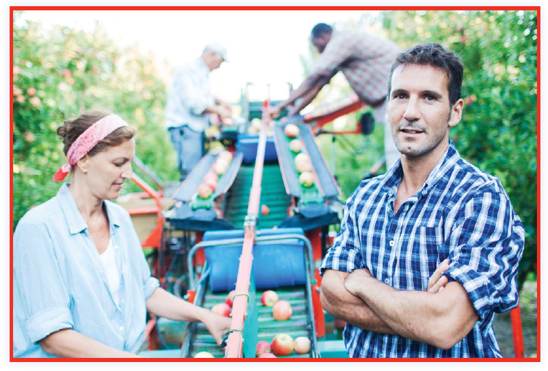 Crops that must be sold fresh are quickly taken to grocery stores or - photo 10