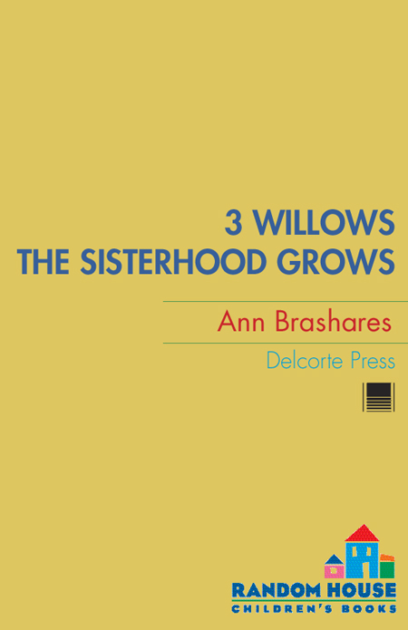 3 Willows The Sisterhood Grows - photo 1