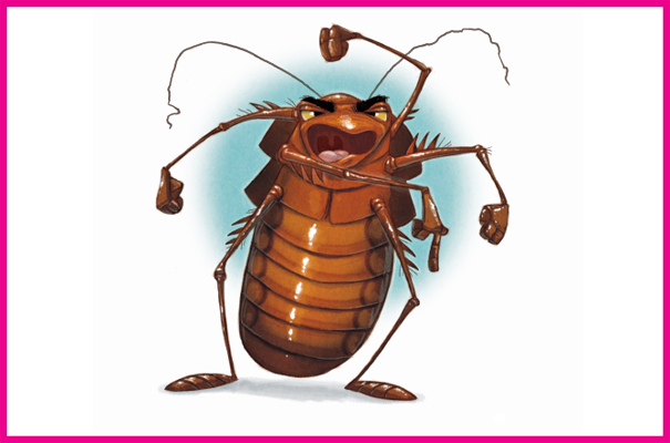 The hissing cockroach is an insect Like any insect it has six legs It also - photo 7