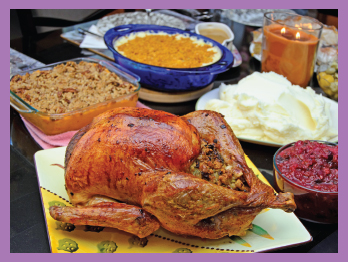 Image Credit Shutterstockcom Matt and Taras biggest holiday turkey weighed 34 - photo 16