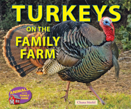 Chana Stiefel - Turkeys on the Family Farm