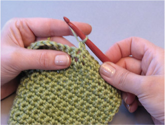 Half Double Crochet hdc Yarn over then insert hook in indicated stitch or - photo 5