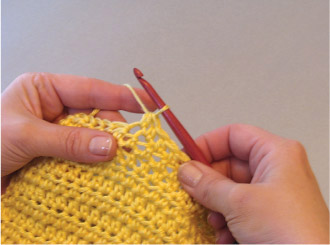 Double Crochet dc Yarn over then insert hook in indicated stitch or - photo 11