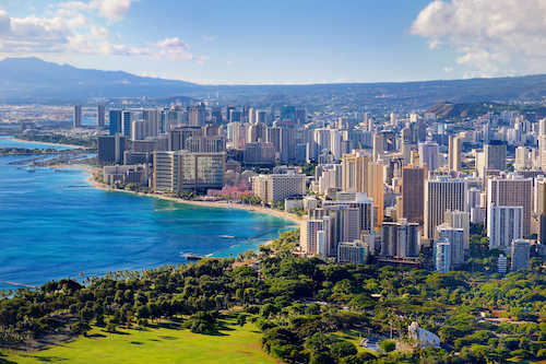 Honolulu Hawaii Source Shutterstock Bruno was a middle child His older - photo 4