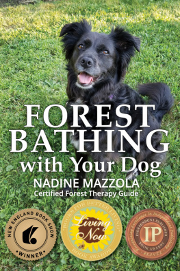 Nadine Mazzola - Forest Bathing with your Dog
