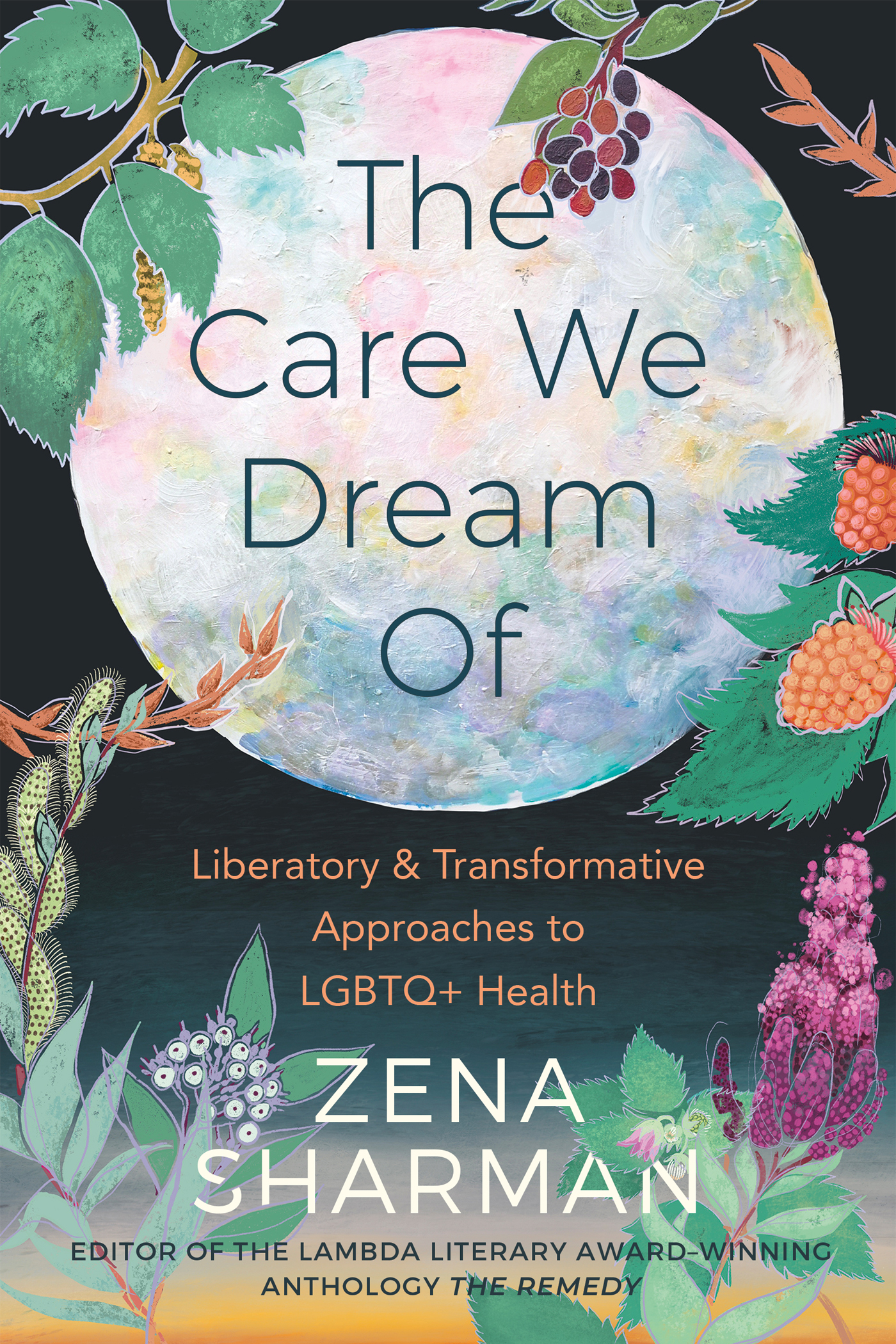 The Care We Dream Of Liberatory and Transformative Approaches to LGBTQ Health - image 1