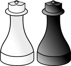 Pawn Pawns are set up on the second rank goingacross on each size of the - photo 5