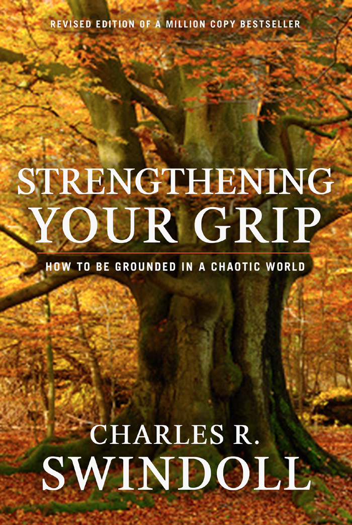 Strengthening Your Grip How to Be Grounded in a Chaotic World - image 1