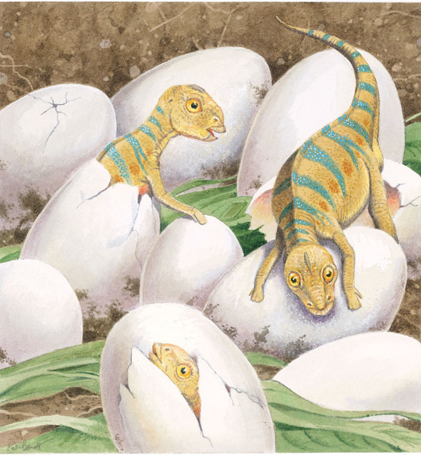 One day the eggs cracked Little baby dinosaurs came out They were hungry - photo 16