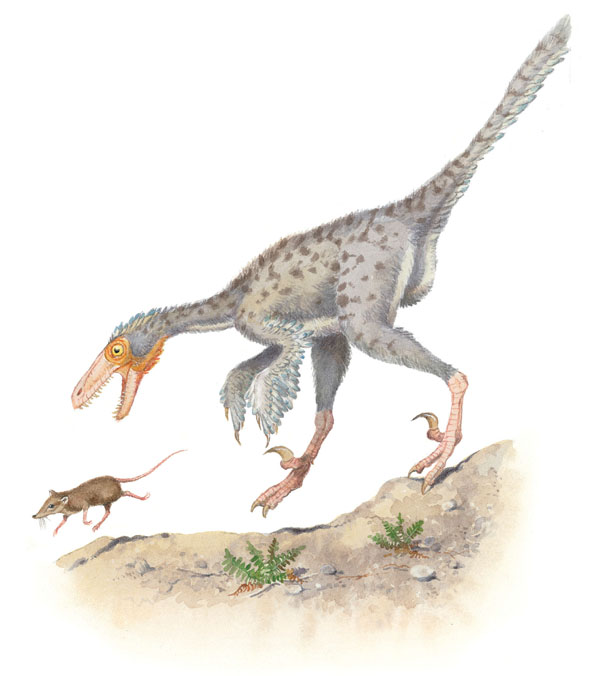 Deinonychus die-NON-ih-kus Some kinds ate little animals and bugs - photo 21