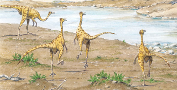 Ornithomimus or-NIH-thuh-MY-mus Was it safe for baby dinosaurs to hunt for - photo 22