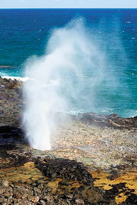 Spouting Horn plumeria The oldest of the Hawaiian Islands Kauai is a - photo 6