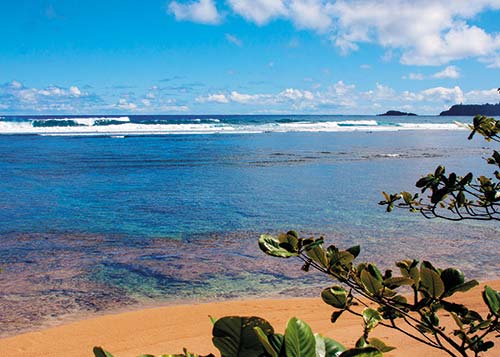 plumeria The oldest of the Hawaiian Islands Kauai is a verdant retreat where - photo 7