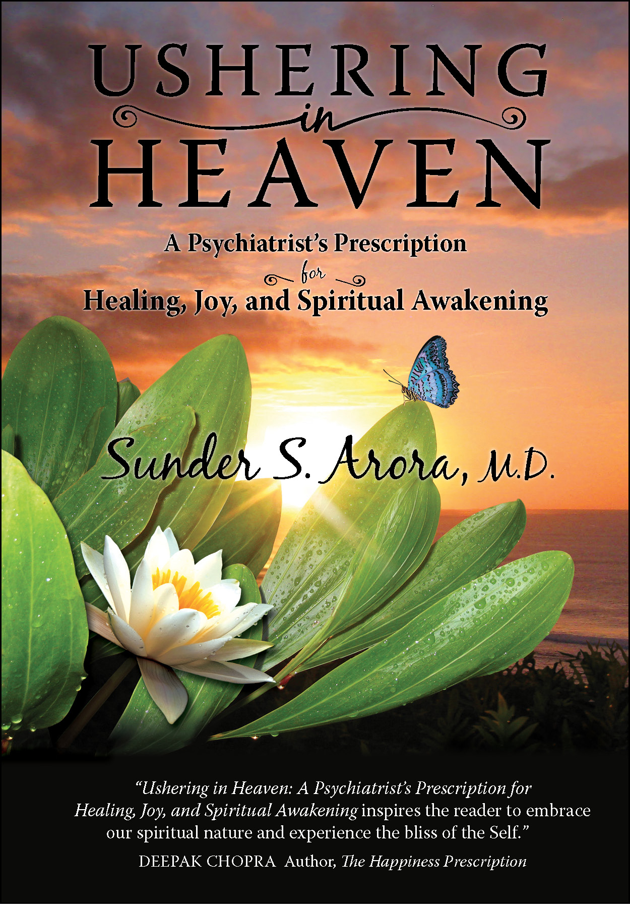 Ushering in Heaven A Psychiatrists Prescription for Healing Joy and Spiritual Awakening - image 1