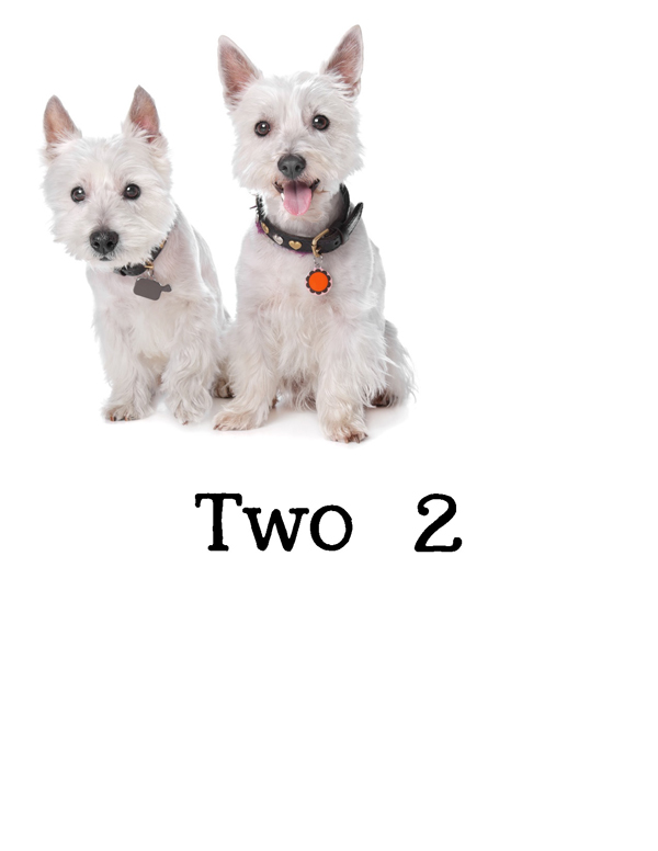 1-2-3 Count Dogs with Me Counting Dogs in Five Languages EnglishFrenchSpanishChineseGerman - photo 5