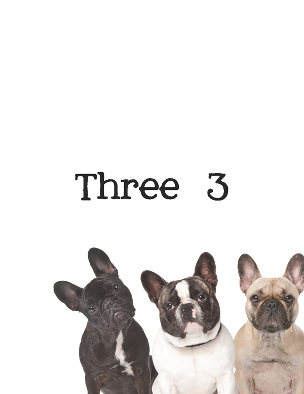 1-2-3 Count Dogs with Me Counting Dogs in Five Languages EnglishFrenchSpanishChineseGerman - photo 6