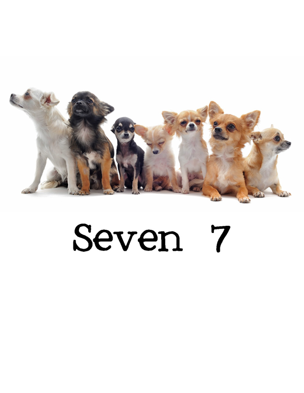 1-2-3 Count Dogs with Me Counting Dogs in Five Languages EnglishFrenchSpanishChineseGerman - photo 10