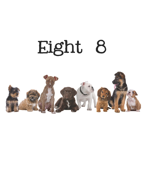 1-2-3 Count Dogs with Me Counting Dogs in Five Languages EnglishFrenchSpanishChineseGerman - photo 11