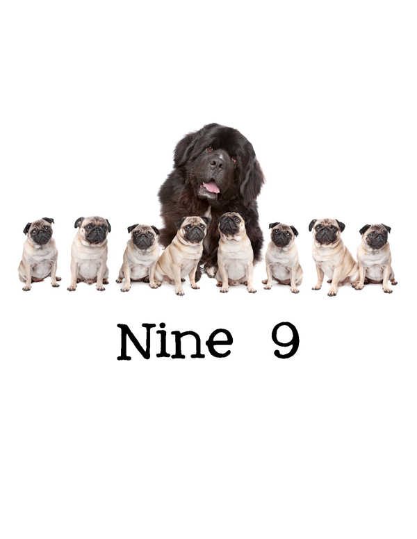 1-2-3 Count Dogs with Me Counting Dogs in Five Languages EnglishFrenchSpanishChineseGerman - photo 12